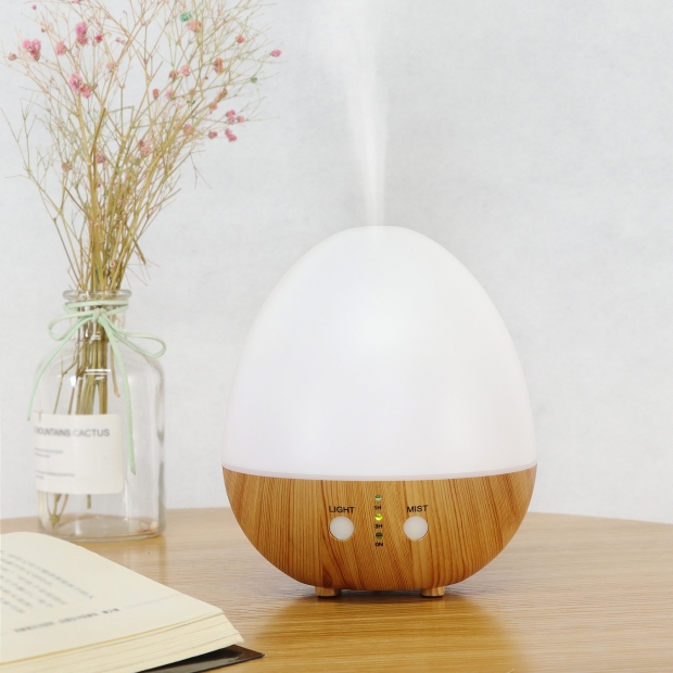mini essential oil diffuser.jpg