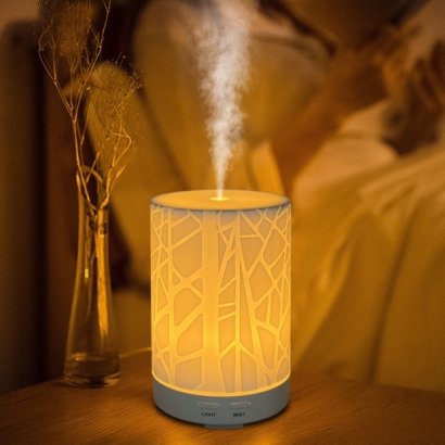 smart humidifier.jpg